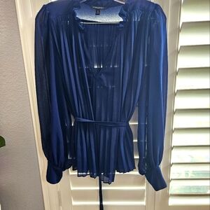 Banana Republic Elegant Blue Sheer Blouse Size Medium